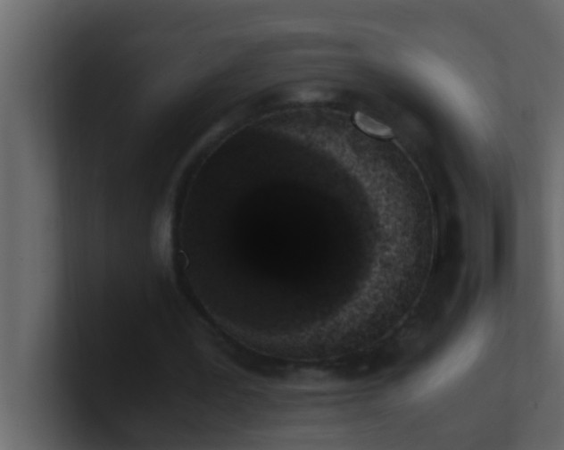 X0000101680387200807101426