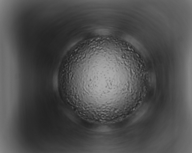 X0000101680390200807101426