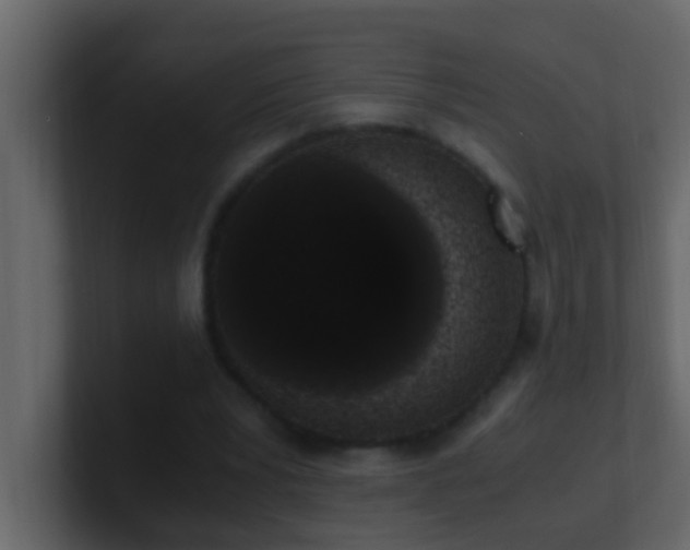 X0000101680391200807101426