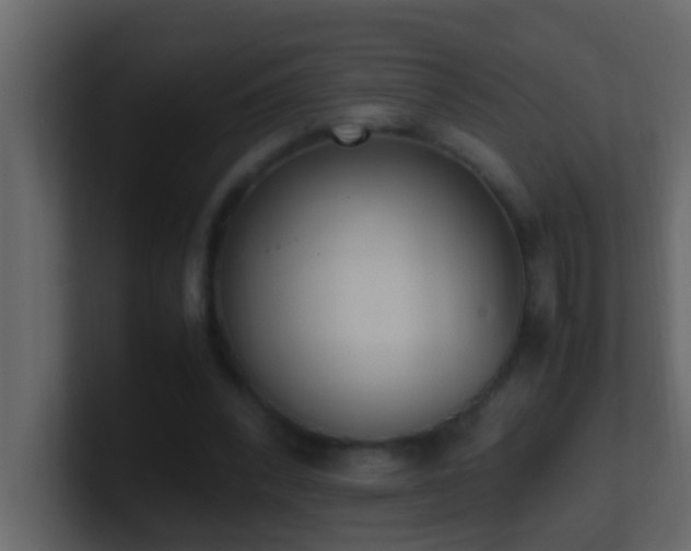 X0000101680392200807101426