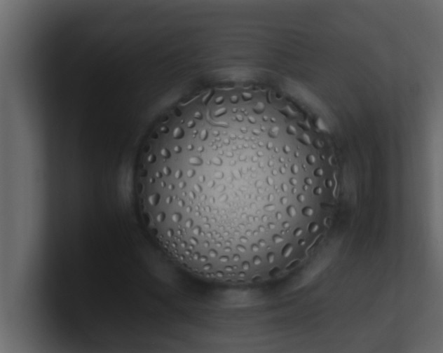 X0000101680394200807101426