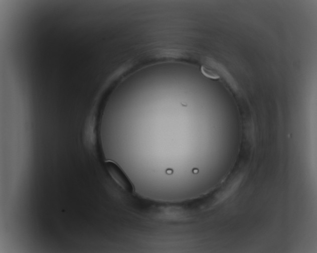 X0000101680395200807101426