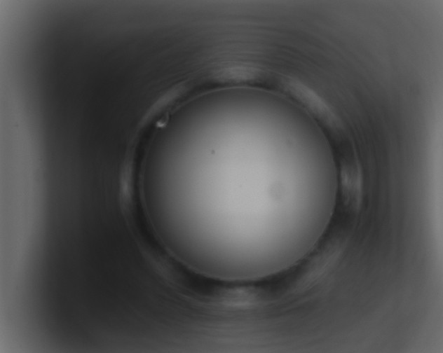 X0000101680396200807101426