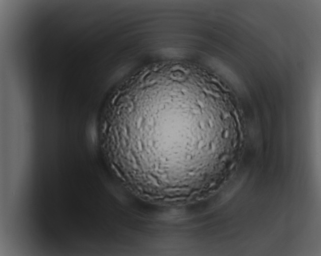 X0000101680398200807101426