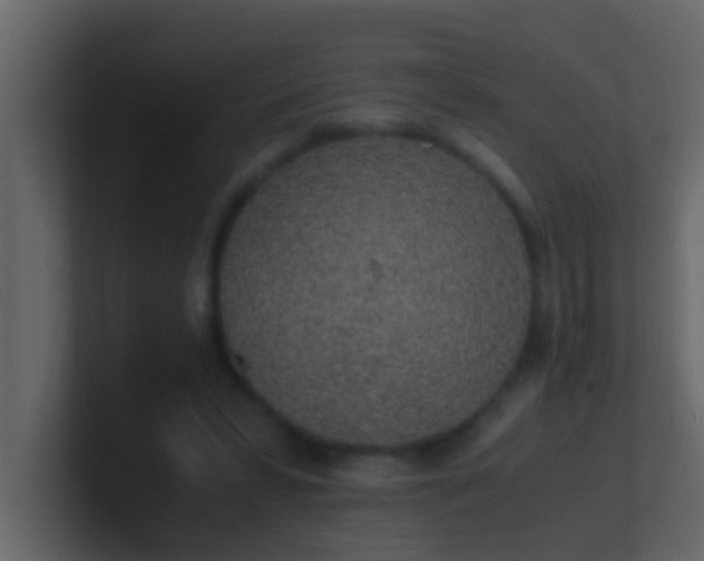 X0000101680399200807101426