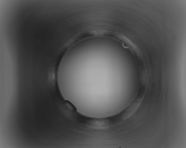 X0000101680405200807101426