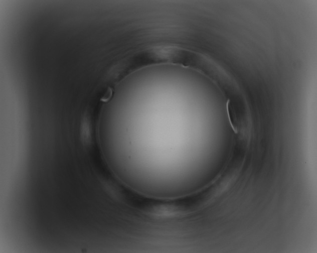 X0000101680408200807101426