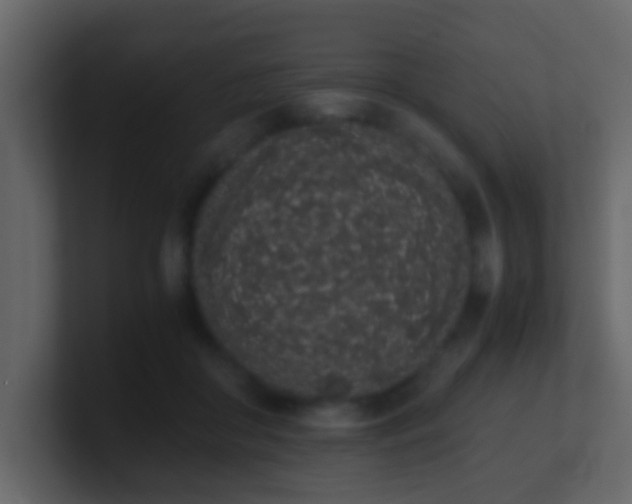 X0000101680410200807101426