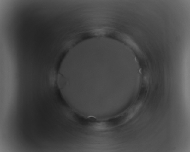 X0000101680411200807101425