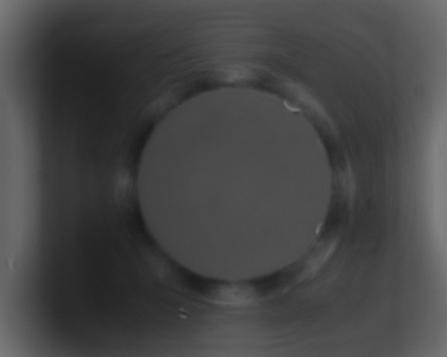 X0000101680415200807101425