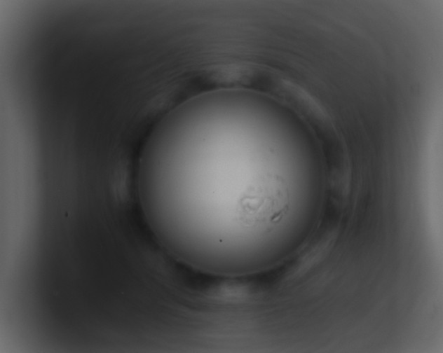 X0000101680416200807101425