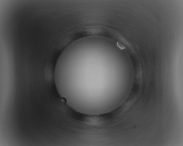 X0000101680417200807101425