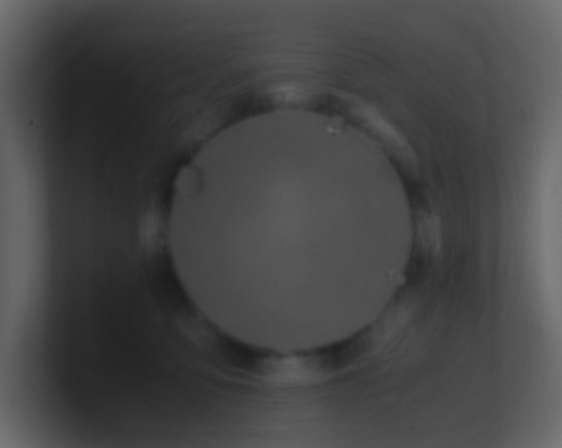 X0000101680419200807101425