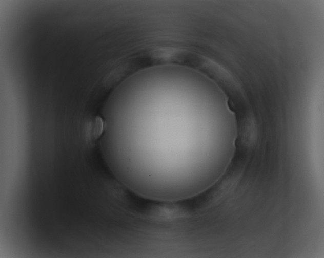 X0000101680420200807101425