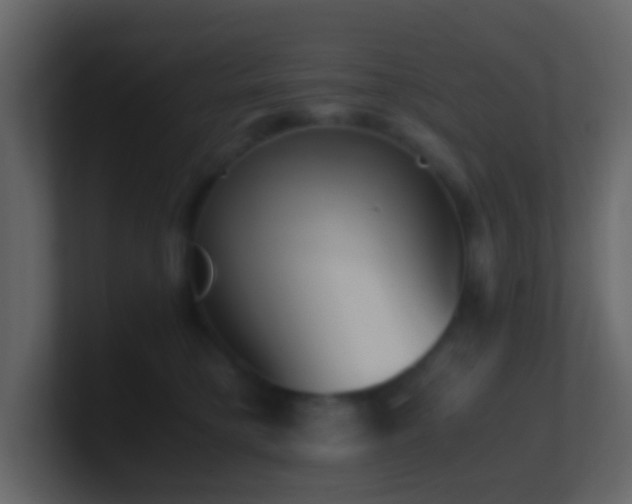 X0000101680421200807101425