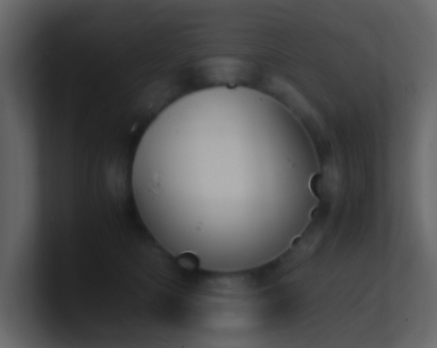 X0000101680422200807101425