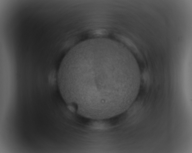 X0000101680423200807101425