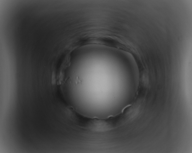 X0000101680424200807101425