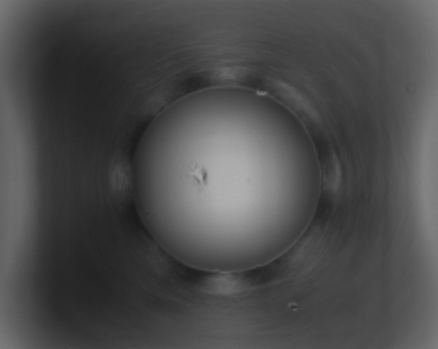 X0000101680425200807101425