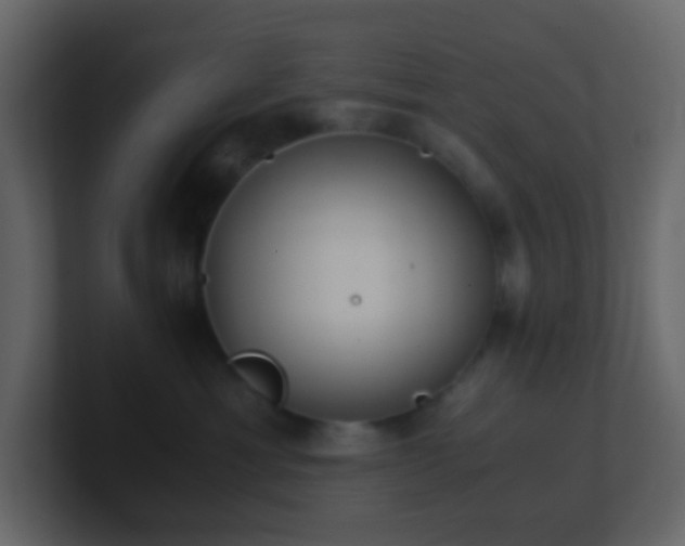 X0000101680429200807101425