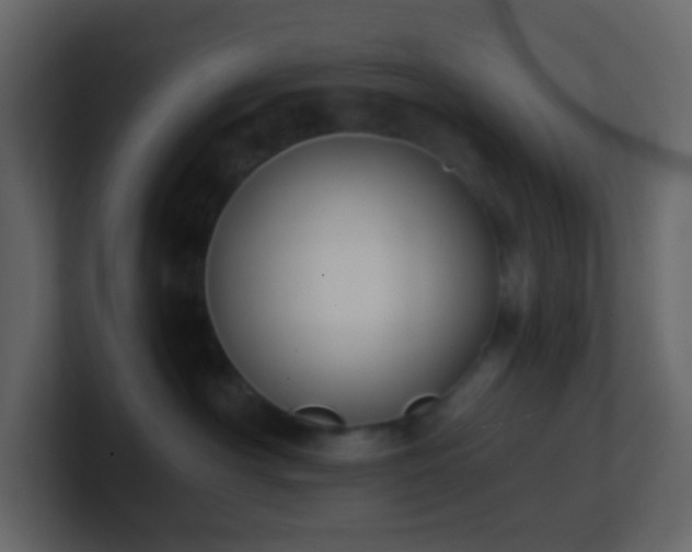 X0000101680430200807101425