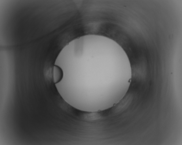 X0000101680431200807101425