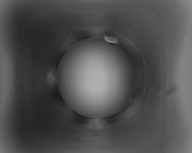 X0000101680432200807101425