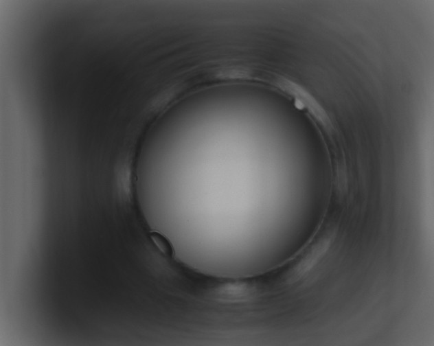 X0000101680441200807101425