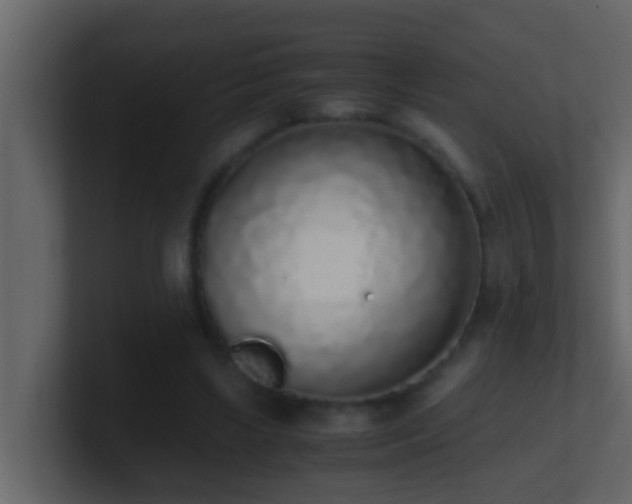 X0000101680443200807101425