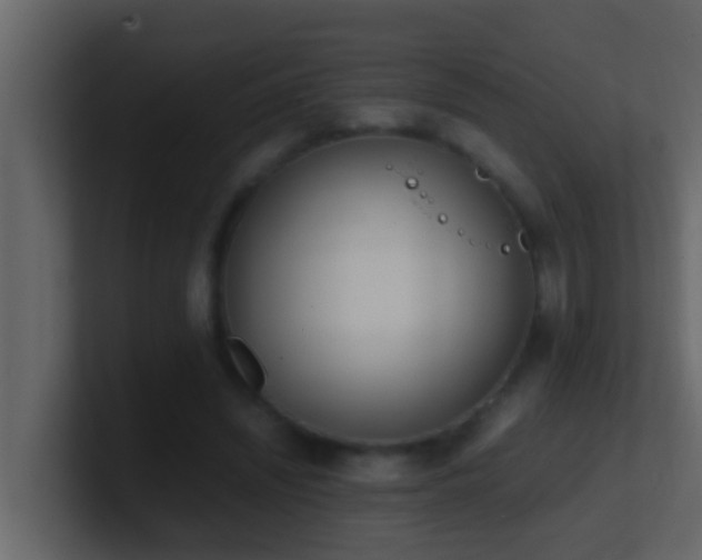 X0000101680444200807101425