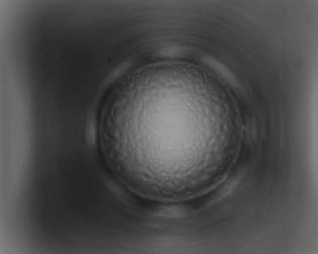 X0000101680446200807101425