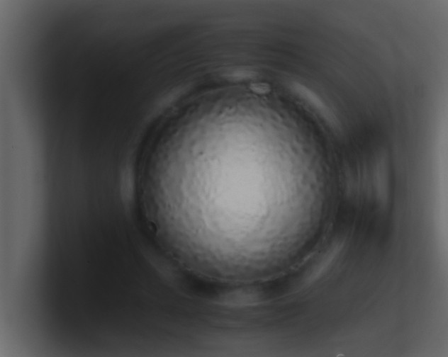 X0000101680447200807101425