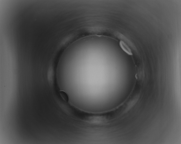 X0000101680448200807101425