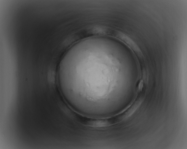 X0000101680449200807101425