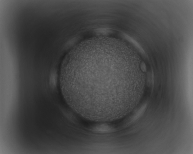 X0000101680451200807101425