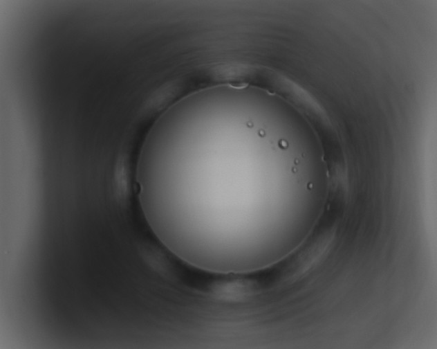 X0000101680452200807101425