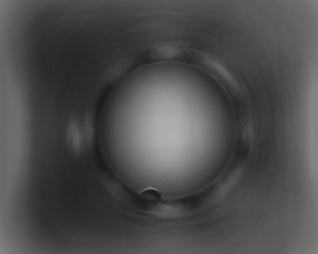 X0000101680455200807101425