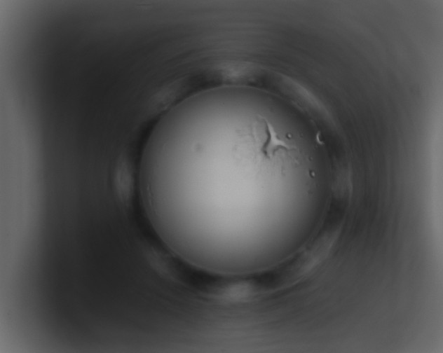 X0000101680456200807101425