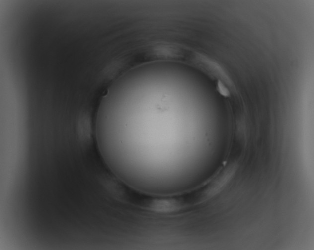 X0000101680457200807101425