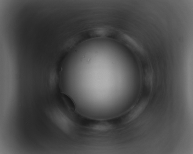 X0000101680459200807101425