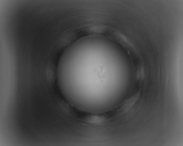 X0000101680464200807101425