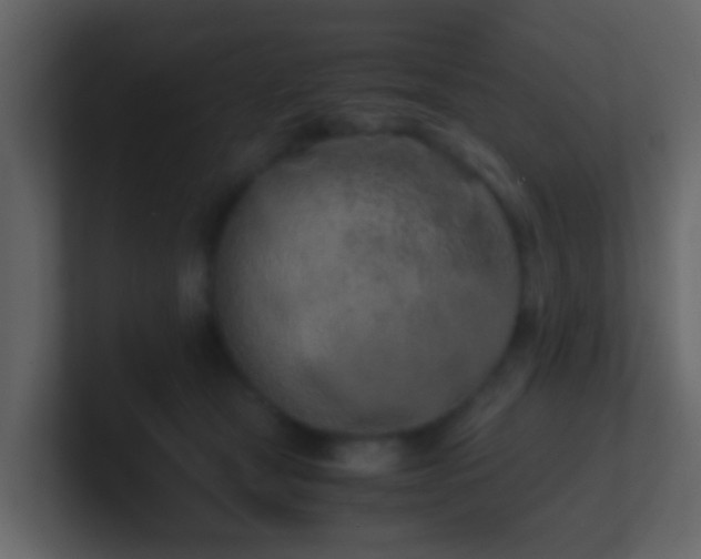 X0000101680465200807101425