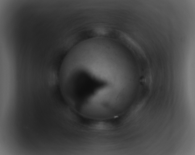 X0000101680467200807101425