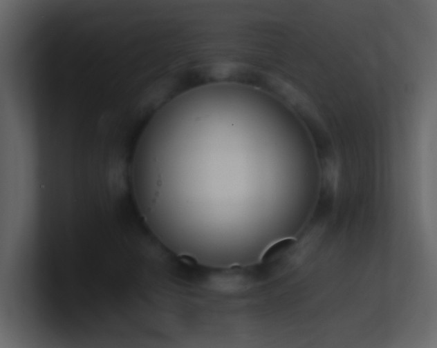 X0000101680470200807101425