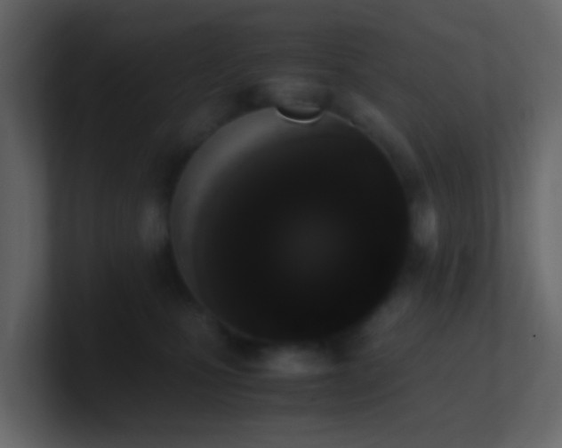 X0000101680471200807101425