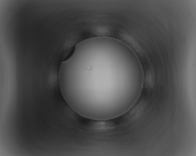 X0000101680473200807101425