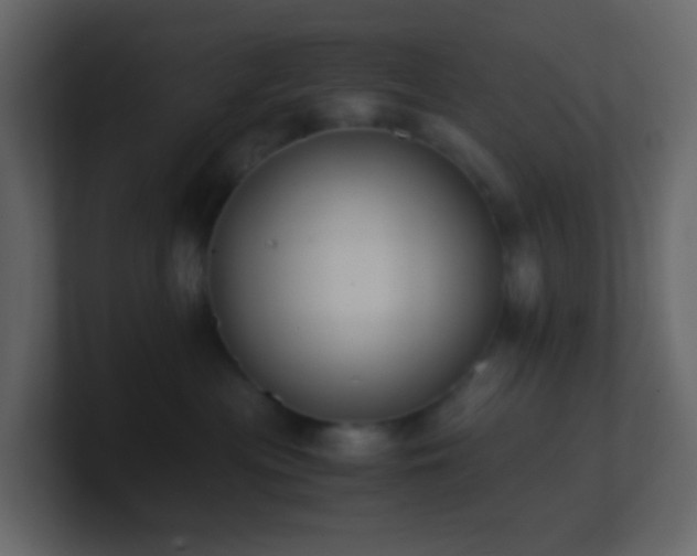 X0000101680477200807101425