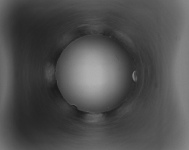 X0000101680480200807101425