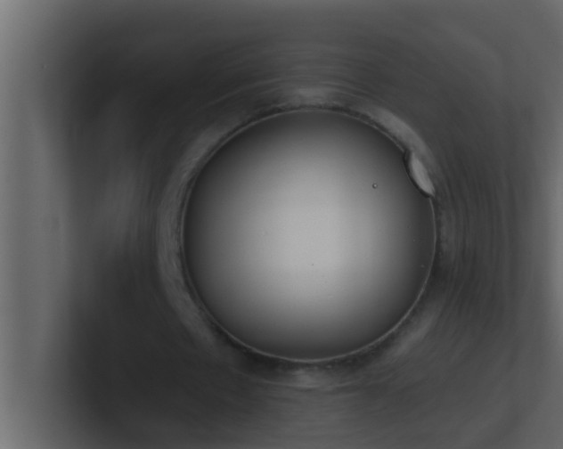 X0000101680481200807101425