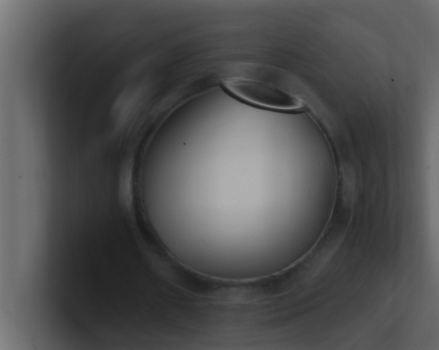 X0000101680482200807101425